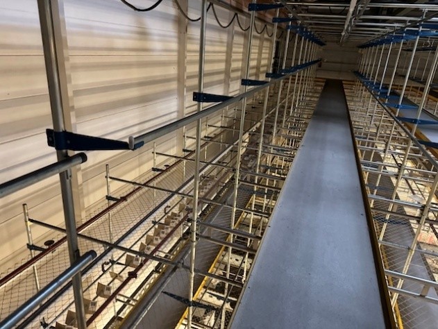 Statisches Hängetextillager, Rundrohrhängebahn, Meiko, ca. 5.000m statische Lagerschienen, ca. 3.600m Trolleysschienen, ca. 1.200 Trolleys, 3 Etagen, inkl. 2.852 m2 Lagerbühne in der Grundfläche, Gesamtfläche ca. 8.556m2 - lagertechnik Statisches Hängetextillager, Rundrohrhängebahn, Meiko, ca. 5.000m statische Lagerschienen, ca. 3.600m Trolleysschienen, ca. 1.200 Trolleys, 3 Etagen, inkl. 2.852 m2 Lagerbühne in der Grundfläche, Gesamtfläche ca. 8.556m2 - – Bild 17