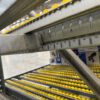 34 Felder Stückgut – Durchlaufregal / Bereitstellregale für Kästen und Kartonagen – Bild 25