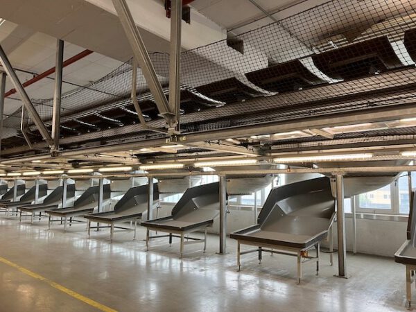 Kippschalensorter, dematic, inkl. Kartonfördertechnik, 78 Sorterendstellen