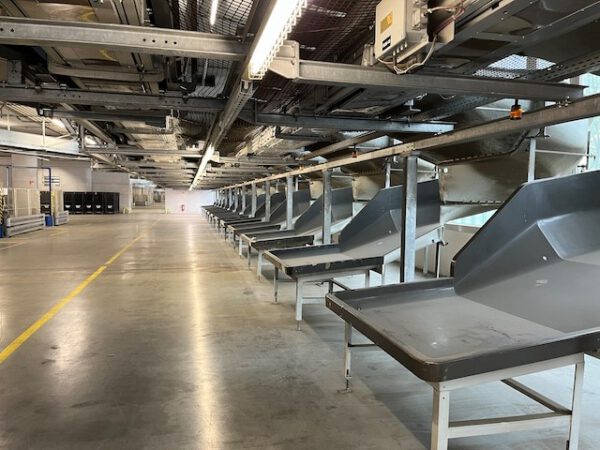 Kippschalensorter, dematic, inkl. Kartonfördertechnik, 78 Sorterendstellen – Bild 29