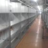50 Felder Fachbodenregale, SSI Schäfer R3000, 1,30m x 0,61m – gebraucht - : – Bild 3