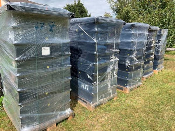 250 Stück Stapeltransportkästen, ESD (leitfähig) Typ: 14/6-2 – gebraucht - : – Bild 3