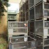 Industrie-Gitterboxen - gebraucht - : – Bild 4