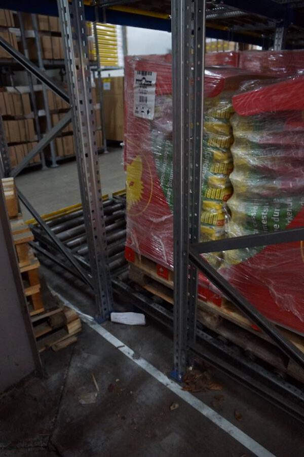 Durchlaufregal (FiFo), SSI Schäfer, gesamt ca. 640 Palettenplätze, max. 900kg pro Palette – gebraucht - : – Bild 17