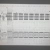 „Schuhsorter“ bzw. Linear Sorter, bis zu 7.500 Sendungen pro Std., Van der Lande, inkl. 20 St. Teleskopgurtförderer, Volumenscanner, Waage – gebraucht - : – Bild 19